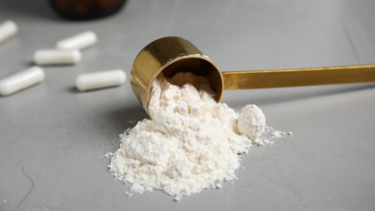 Creatine monohydrate powder supplement